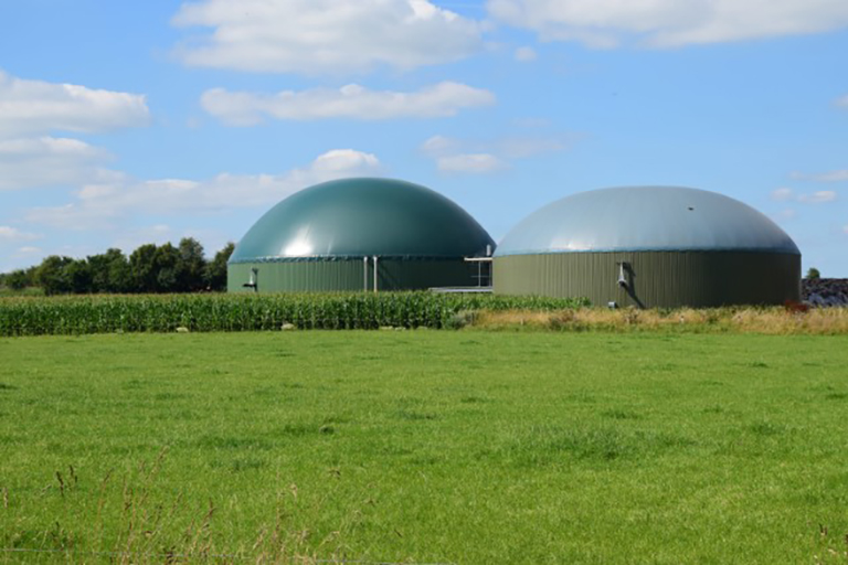 Biogas og gylle