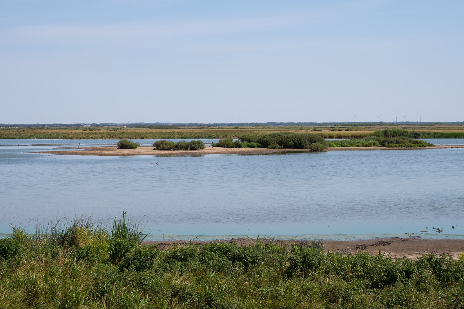 Bicarbonat-Dithionit-udrystning (BD)