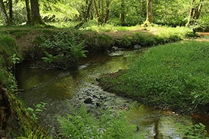 Recipientvand (fersk og salt)