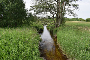 PFAS i recipientvand