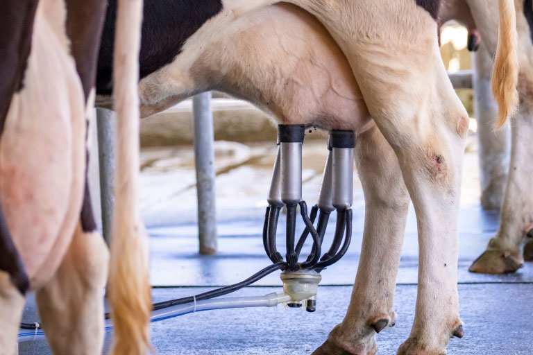 Certifikater - Cellestandarder