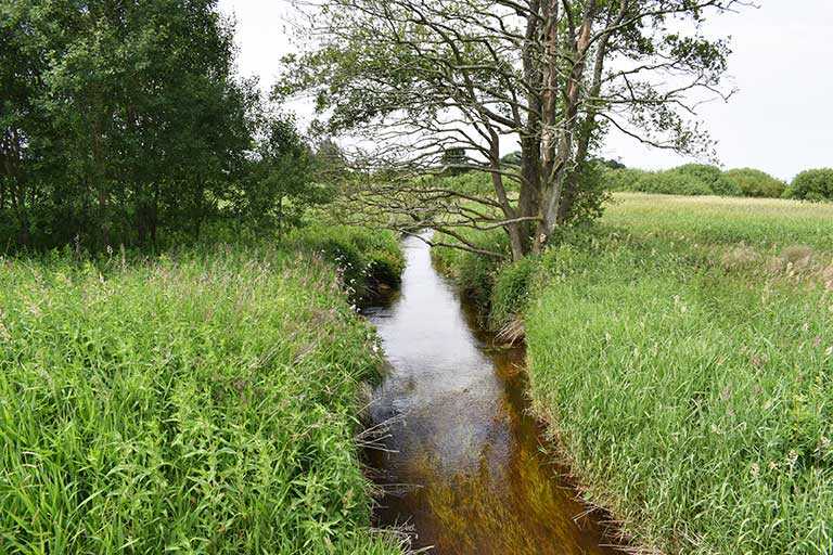 Kildesporing af PFAS med Sorbisense